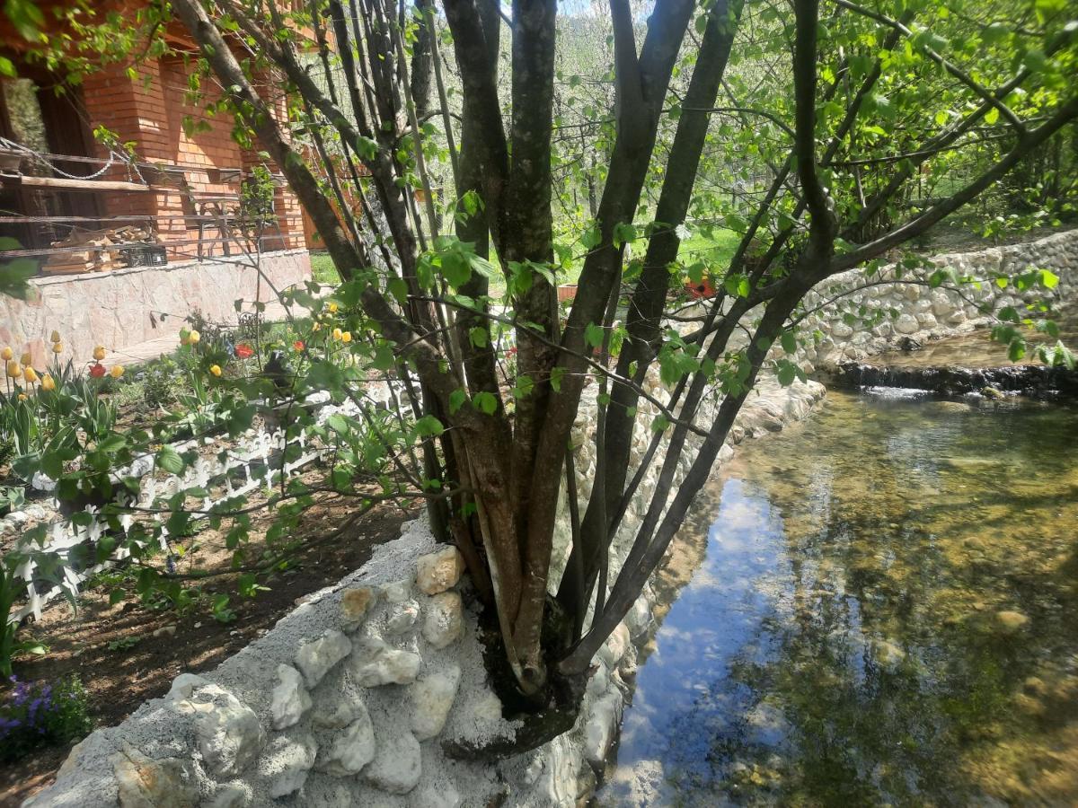 Live Nature Bihać エクステリア 写真