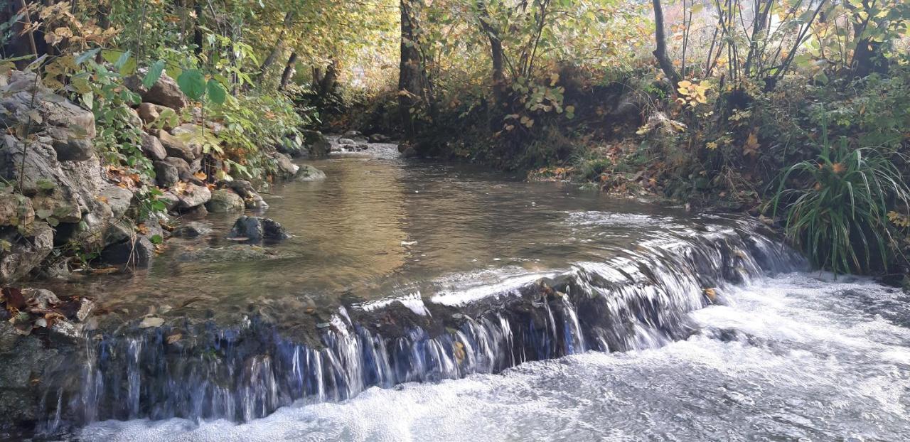 Live Nature Bihać エクステリア 写真
