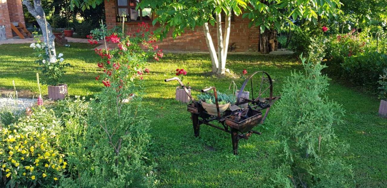 Live Nature Bihać エクステリア 写真