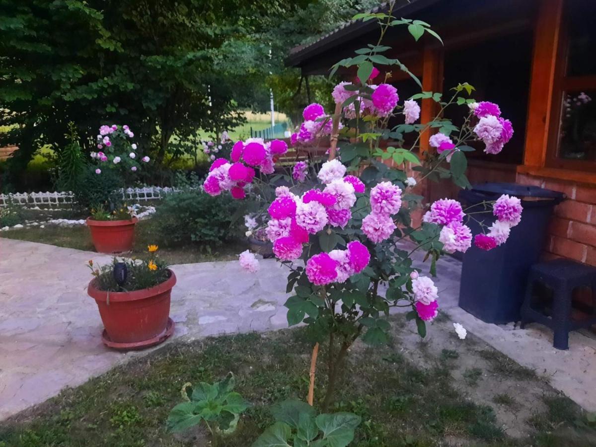 Live Nature Bihać エクステリア 写真